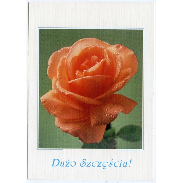 DUŻO SZCZĘŚCIA WR2154