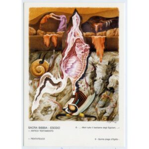 NATALINO ARFELLI SACRA BIBBIA POCZTÓWKA A2775