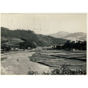 PIWNICZNA WIDOKÓWKA A6512