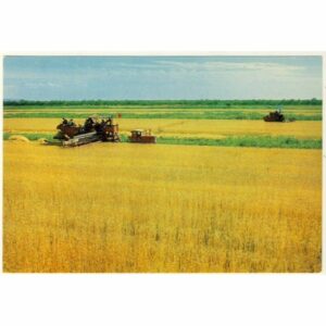 CHINY WIDOKÓWKA A7690