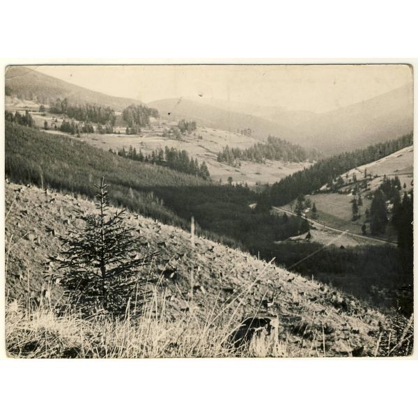 ZAWOJA WIDOKÓWKA A7918