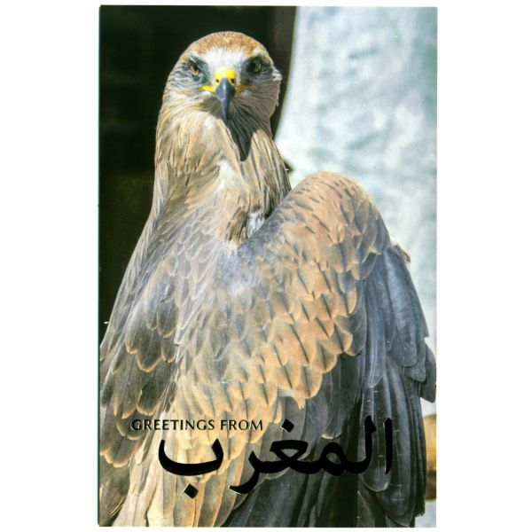 ORZEŁ POCZTÓWKA MAGNETYCZNA MAG004