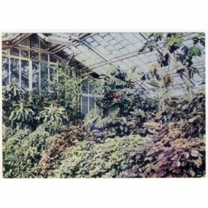 POZNAŃ WIDOKÓWKA A10847