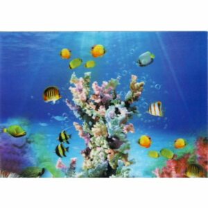 RAFA KORALOWA POCZTÓWKA 3D TRÓJWYMIAROWA 3D117