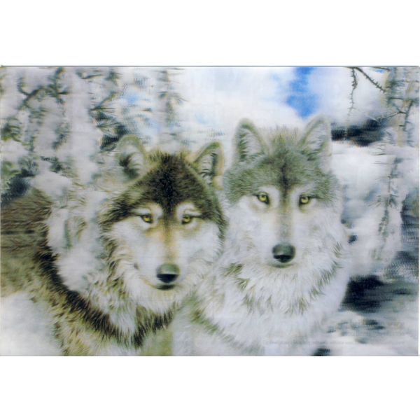 WILKI POCZTÓWKA 3D TRÓJWYMIAROWA 3D124