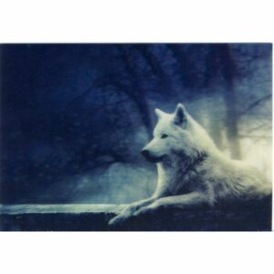 WILK POCZTÓWKA 3D TRÓJWYMIAROWA 3D130