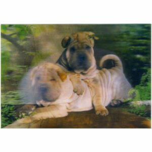 PIES PSY POCZTÓWKA 3D TRÓJWYMIAROWA 3D104