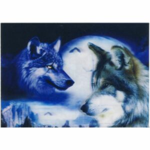 WILKI POCZTÓWKA 3D TRÓJWYMIAROWA 3D099