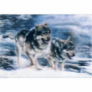 WILKI POCZTÓWKA 3D TRÓJWYMIAROWA 3D100