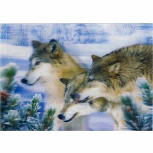 WILKI POCZTÓWKA 3D TRÓJWYMIAROWA 3D120