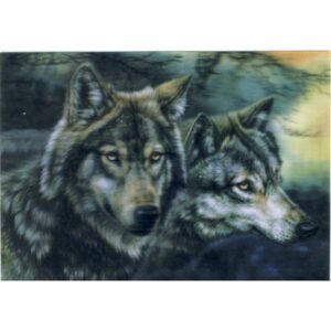 WILKI POCZTÓWKA 3D TRÓJWYMIAROWA 3D121