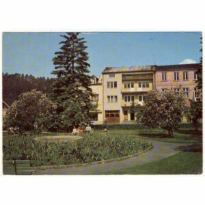 MUSZYNA WIDOKÓWKA A12358