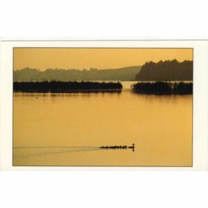 SCHLESWIG HOLSTEIN KELLERSEE WIDOKÓWKA A13188
