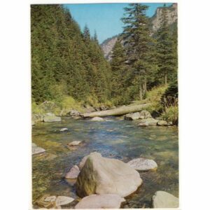 TATRY WIDOKÓWKA A13489