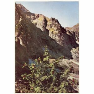 TATRY WIDOKÓWKA A13606