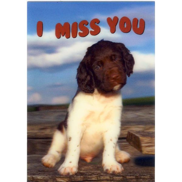 PIES POCZTÓWKA 3D TRÓJWYMIAROWA 3D213