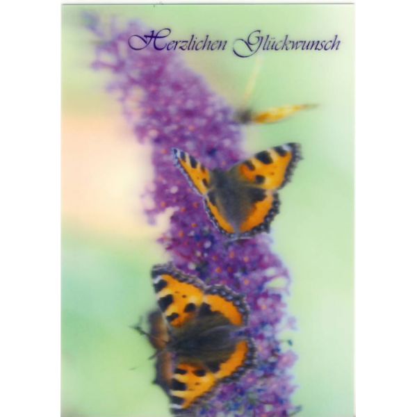 KWIATY MOTYLE ŻYCZENIA POCZTÓWKA 3D TRÓJWYMIAROWA 3D227
