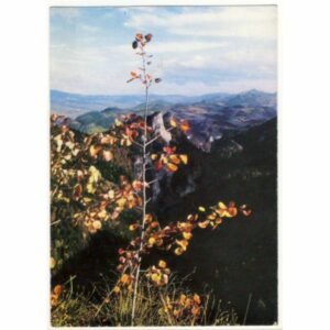 PIENINY WIDOKÓWKA A18754