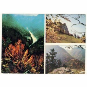 PIENINY WIDOKÓWKA A19711