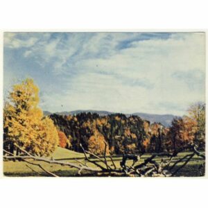 PIENINY WIDOKÓWKA A20827