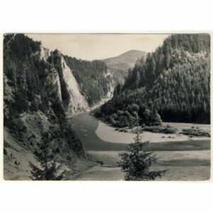 PIENINY WIDOKÓWKA A20839