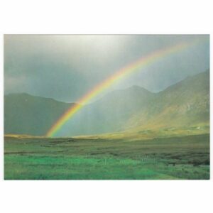 TWELVE BENNS WIDOKÓWKA A22553