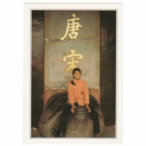 CHINY NANKIN WIDOKÓWKA A23894