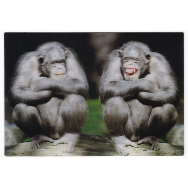 MAŁPA SZYMPANS POCZTÓWKA 3D TRÓJWYMIAROWA 3D410