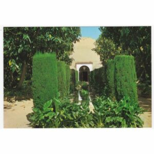 ELCHE WIDOKÓWKA A25163