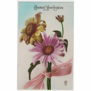 ŻYCZENIA KWIATY POCZTÓWKA A25251