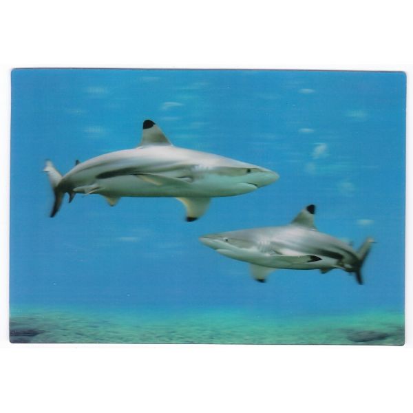 REKIN POCZTÓWKA 3D TRÓJWYMIAROWA 3D456