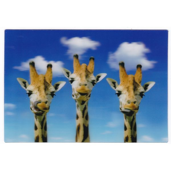 ŻYRAFA POCZTÓWKA 3D TRÓJWYMIAROWA 3D457