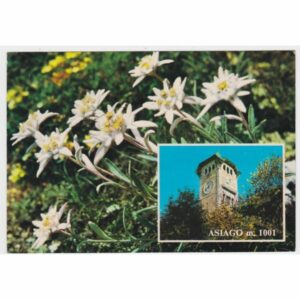 WŁOCHY ASIAGO WIDOKÓWKA A31985