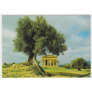 WŁOCHY AGRIGENTO TEMPIO DELLA CONCORDIA WIDOKÓWKA A32840
