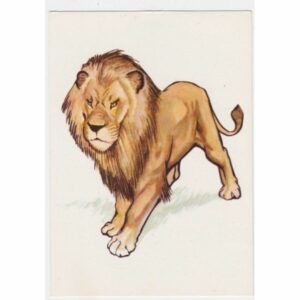 LEW MASAJSKI SZ. KOBYLIŃSKI POCZTÓWKA A32054