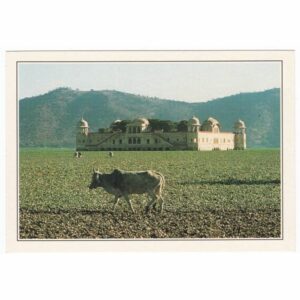 INDIE JAL MAHAL WIDOKÓWKA A36094