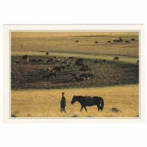 MONGOLIA WIDOKÓWKA A36296