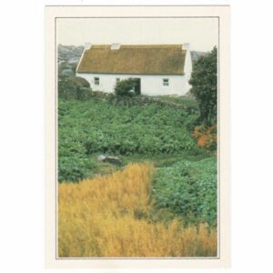 IRLANDIA GALWAY WIDOKÓWKA A36357
