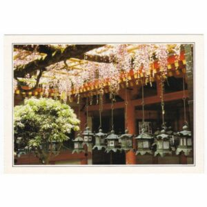 JAPONIA NARA WIDOKÓWKA A36406