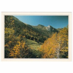 FRANCJA CANTAL WIDOKÓWKA A36554