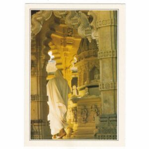 INDIE PALITANA WIDOKÓWKA A36557