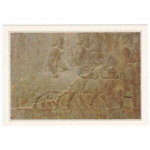 IRAN PERSEPOLIS WIDOKÓWKA A36662