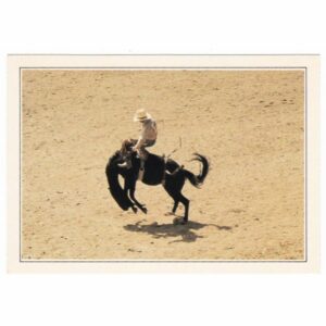 USA CHEYENNE RODEO WIDOKÓWKA A36783