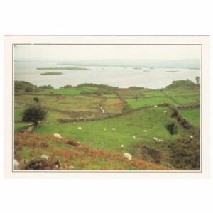 IRLANDIA GALWAY WIDOKÓWKA A36802