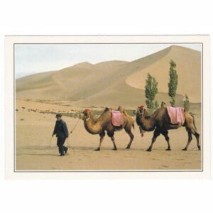 CHINY DUNHUANG WIELBŁĄD WIDOKÓWKA A36805