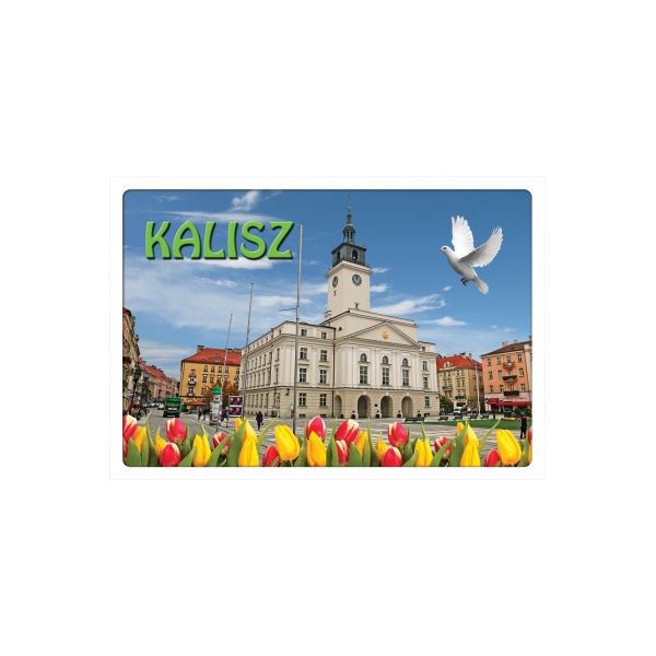 KALISZ POCZTÓWKA 3D TRÓJWYMIAROWA 3D551