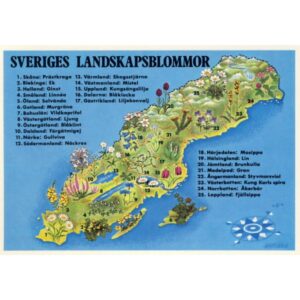 SZWECJA POCZTÓWKA MAPKA WR1454