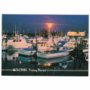 WESTPORT WASHINGTON WIDOKÓWKA A41196