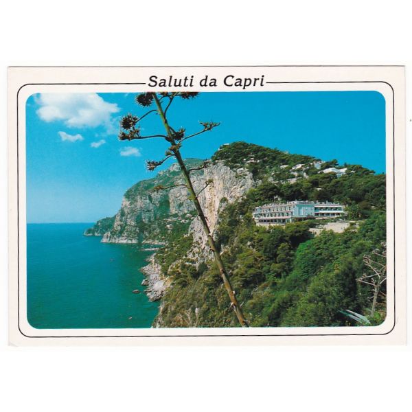 CAPRI WIDOKÓWKA A42233