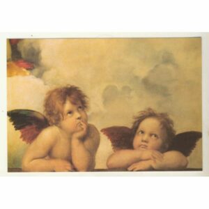 RAFFAELLO ANIOLKI WR7507